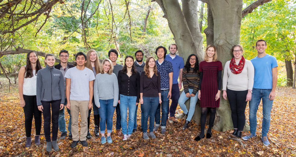 The Doyle Group Princeton Chemistry Group